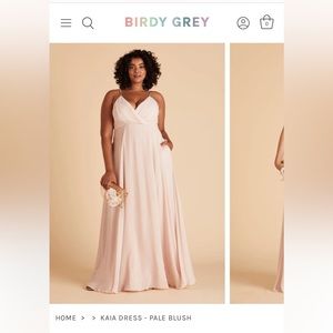 Birdy Grey Kaia Bridesmaid Dress in Pale Blush Chiffon